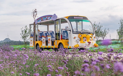 電動觀光車廠家哪個品牌好，電動觀光車市場價格